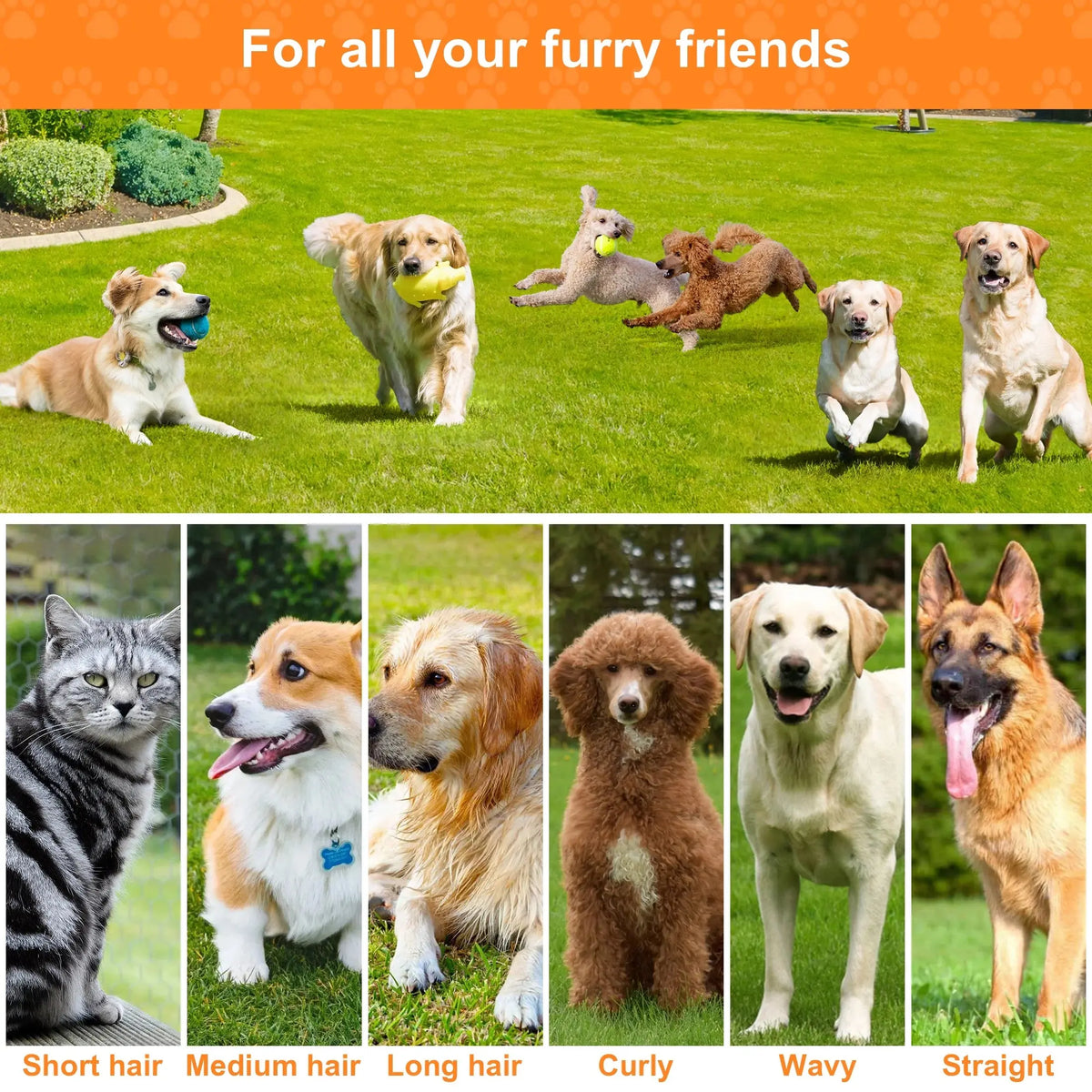 Dog Grooming Vacuum for Shedding, 13,200Pa Pet Grooming Vacuum Kit with Dogs Cats Clippers, 6 in 1 Low Noise Home Cleaning Tool