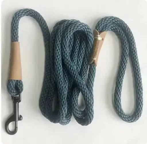 Adjustable Dog Lead Leash - Premium Pet Walking Gear - TRENDSRBLLC