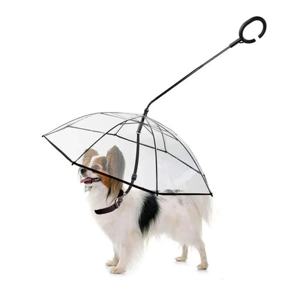 Dog Umbrella - TRENDSRBLLC
