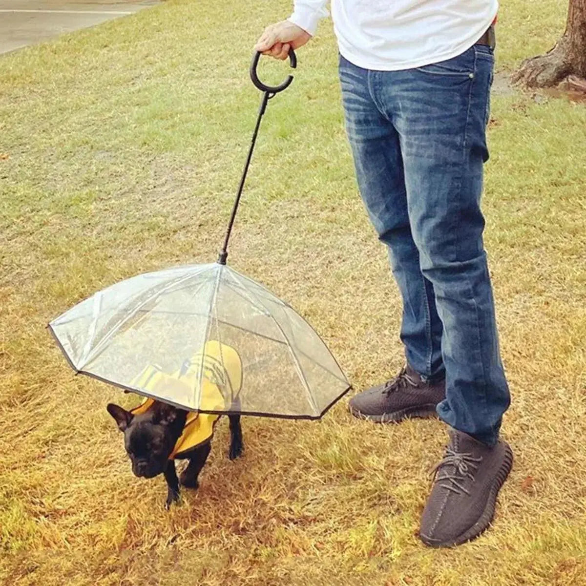 Dog Umbrella - TRENDSRBLLC