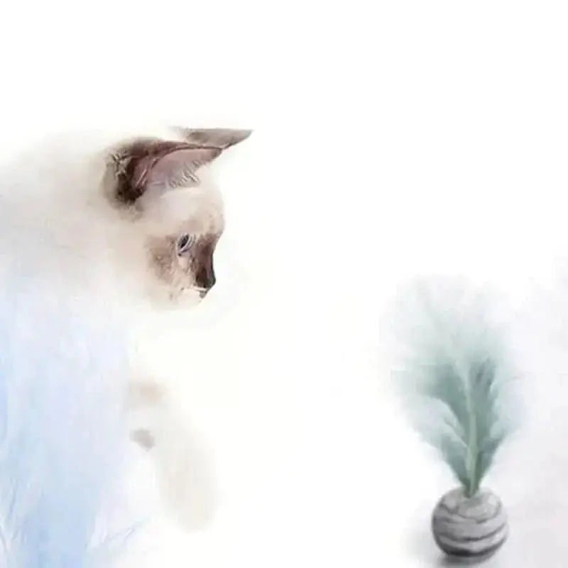 Interactive Pet Feather Ball Toy - Entertaining Cat Toy - TRENDSRBLLC