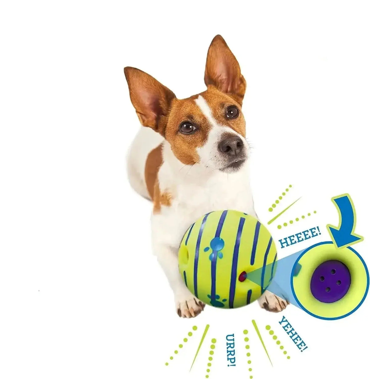 Wobble Wag Interactive Dog Toy: Durable and Fun Pet Toy - TRENDSRBLLC