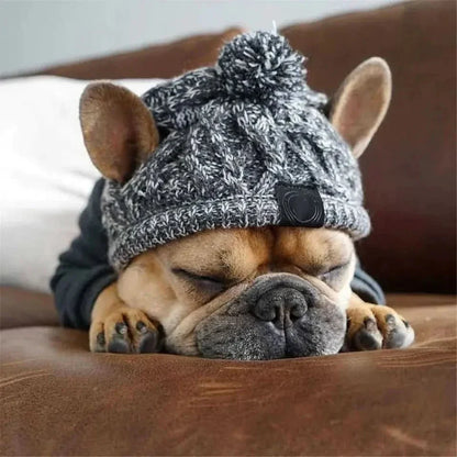 Stylish Dog Hat: Pet Accessory for Canine Fashion! - TRENDSRB