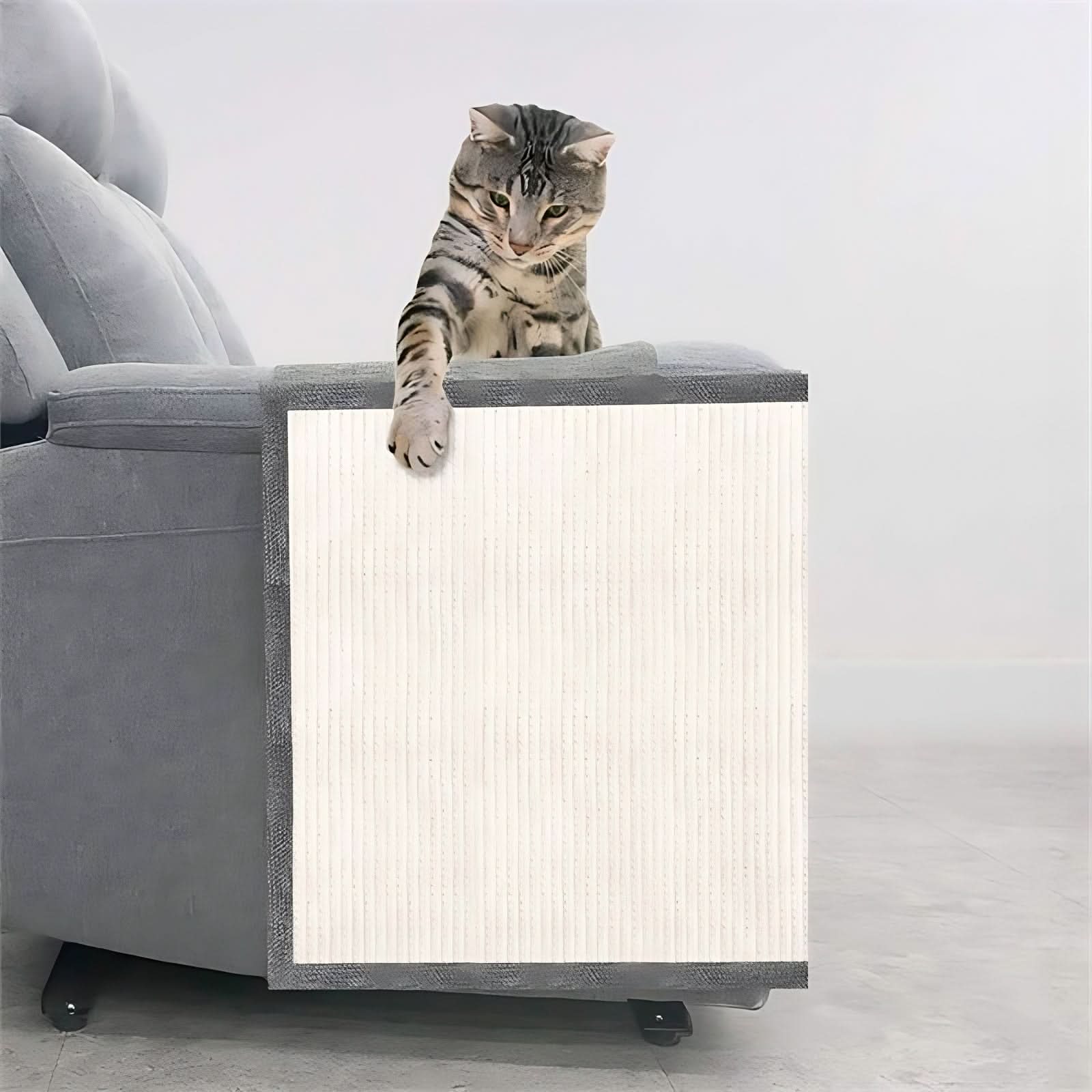 Pet Sofa Guard - Cat Scratch Furniture Protector - TRENDSRB