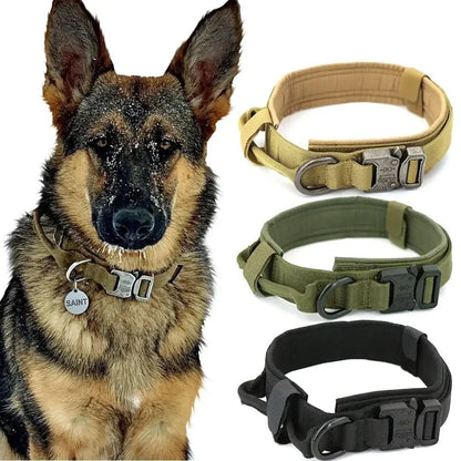 Adjustable Designer Dog Collar, Personalized for Your Pup - TRENDSRB