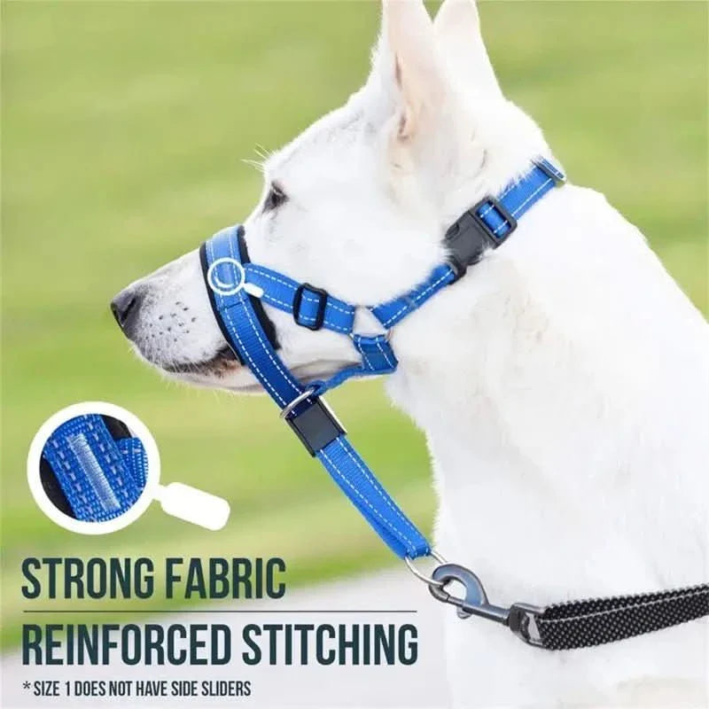 Adjustable Shock Remote Control Dog Training Collar - TRENDSRB